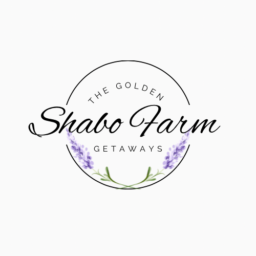 Lavender Infused Dryerball with organic Lavender oil refill