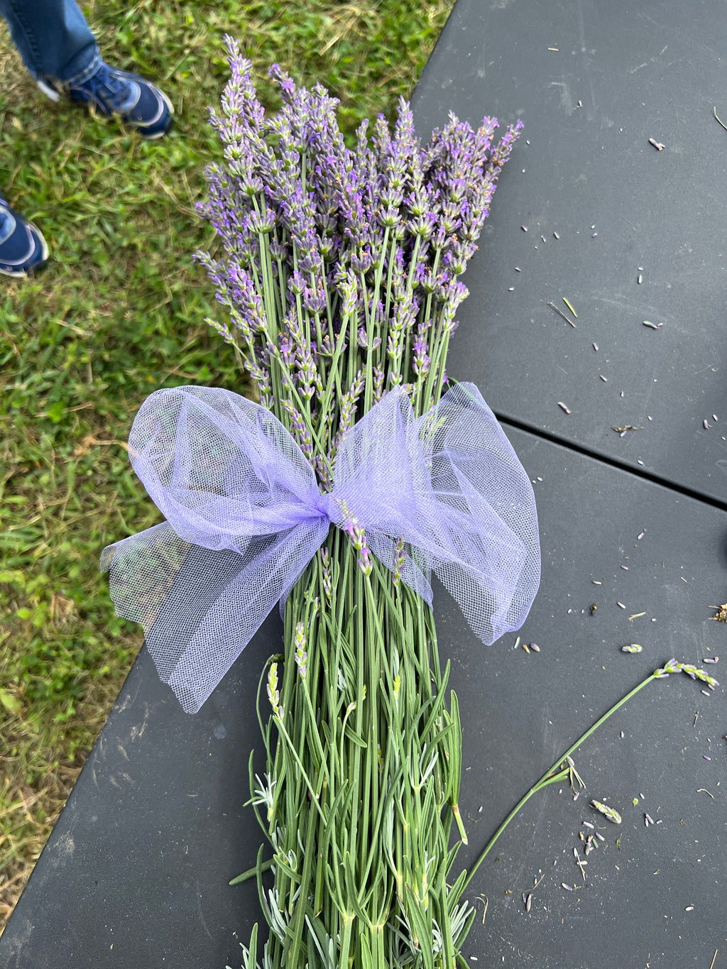 Lavender Infused Dryerball with organic Lavender oil refill